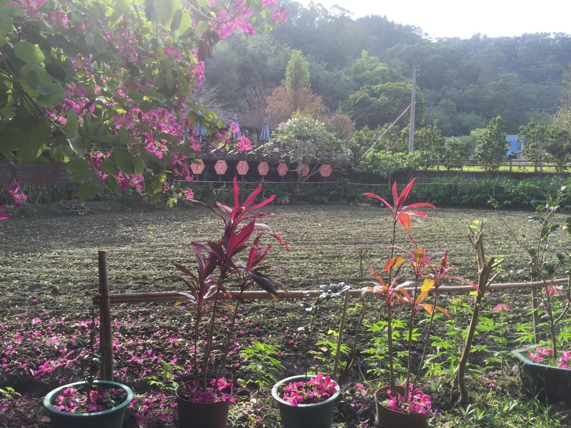 Yu Ho Yuan Lesiure Homestay Nanzhuang Buitenkant foto