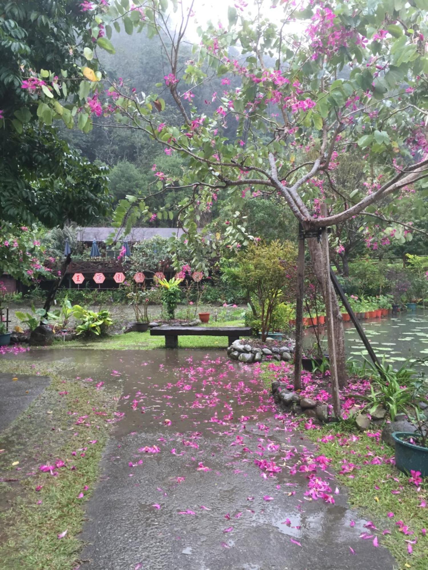 Yu Ho Yuan Lesiure Homestay Nanzhuang Buitenkant foto