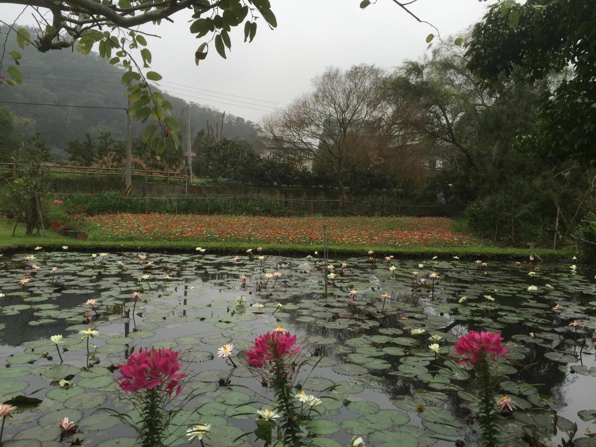 Yu Ho Yuan Lesiure Homestay Nanzhuang Buitenkant foto