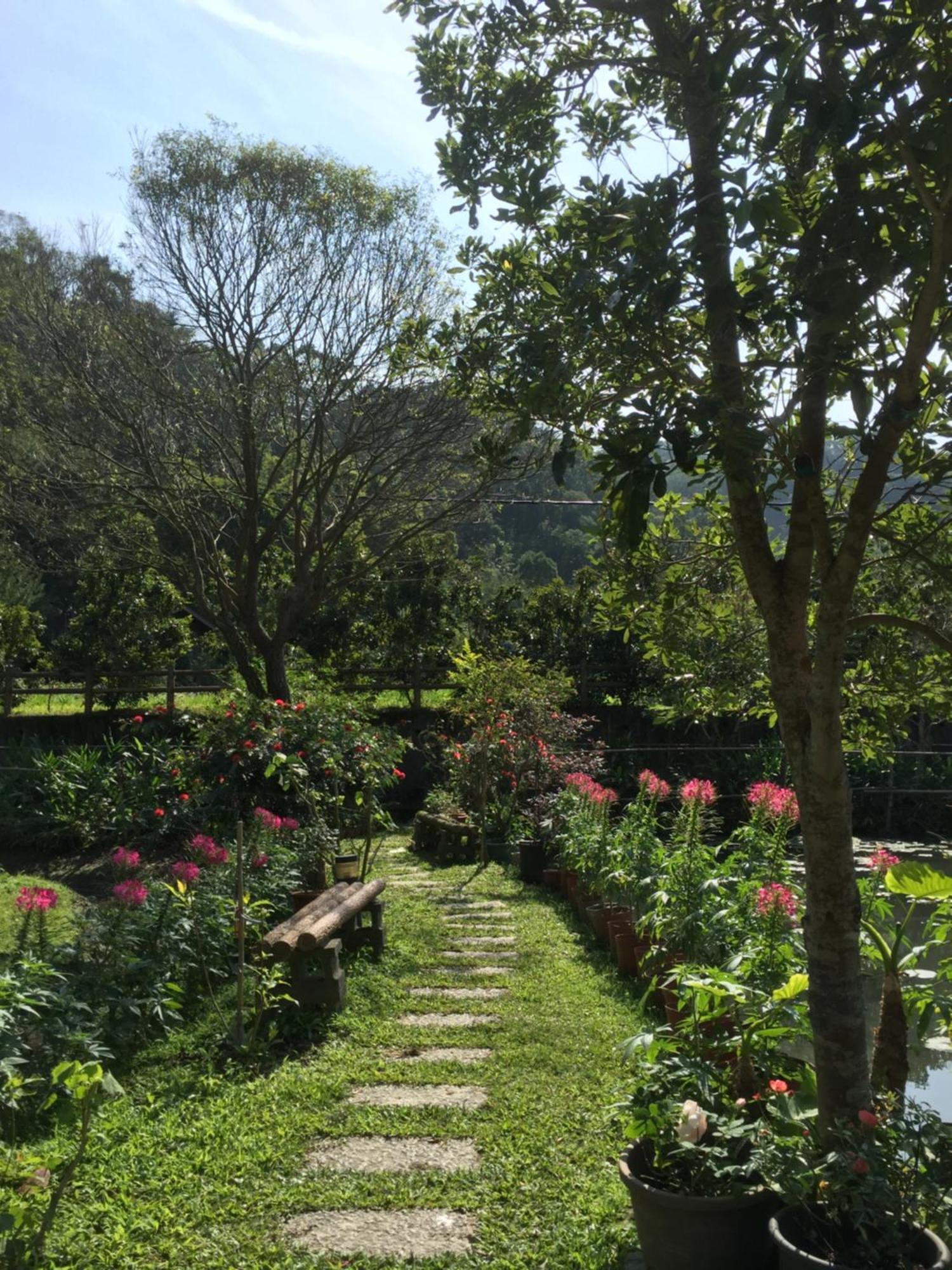 Yu Ho Yuan Lesiure Homestay Nanzhuang Buitenkant foto