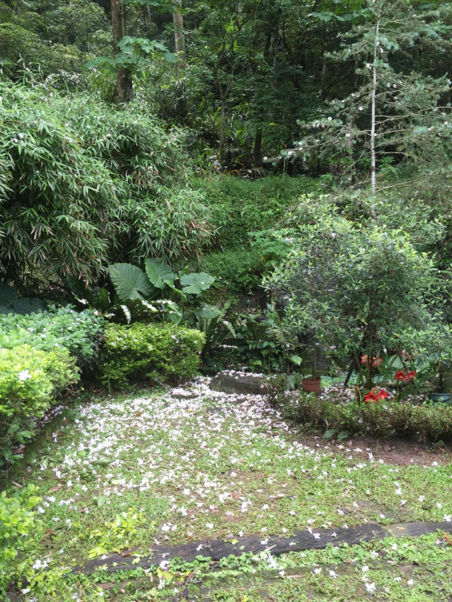 Yu Ho Yuan Lesiure Homestay Nanzhuang Buitenkant foto