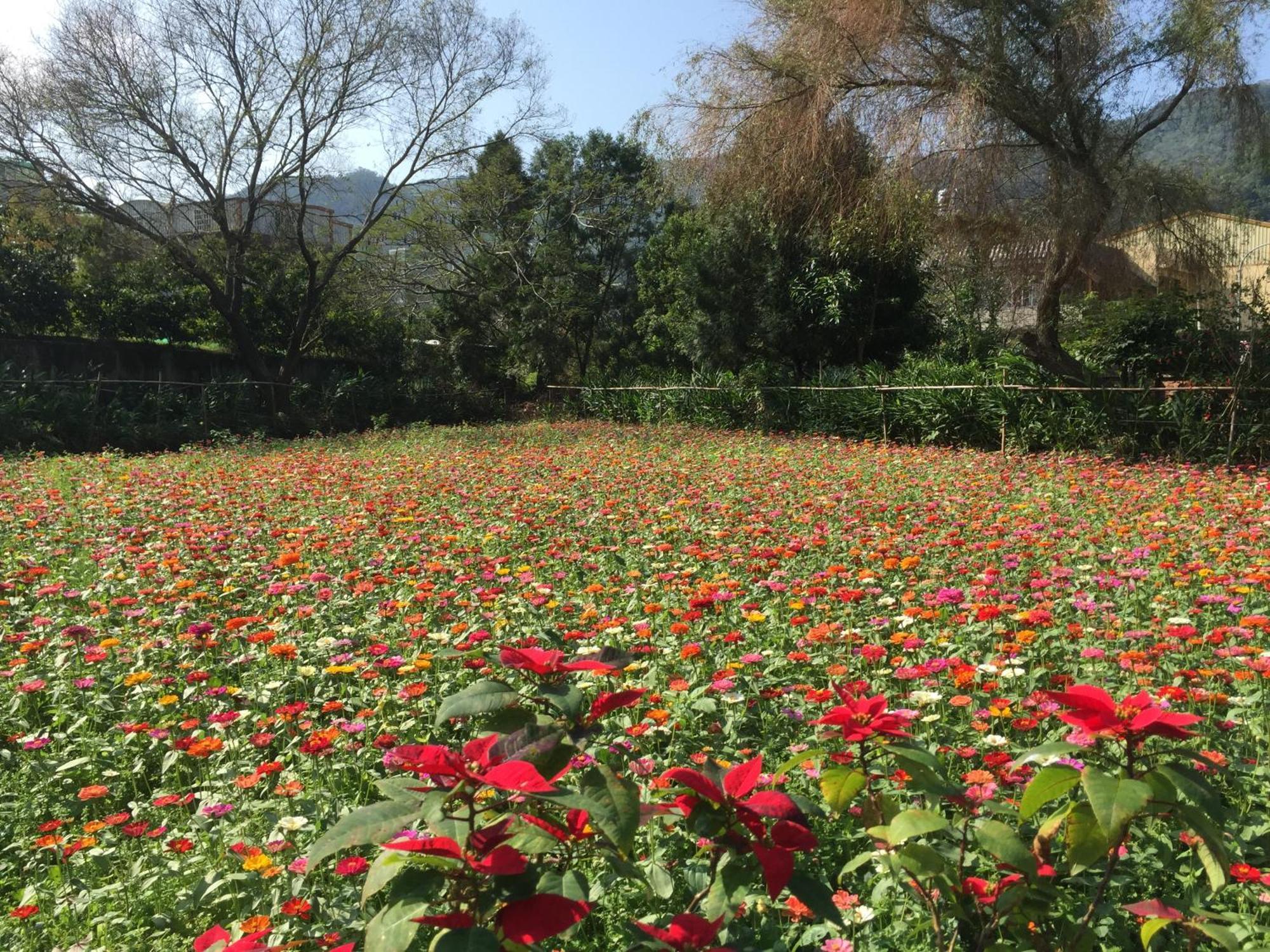 Yu Ho Yuan Lesiure Homestay Nanzhuang Buitenkant foto